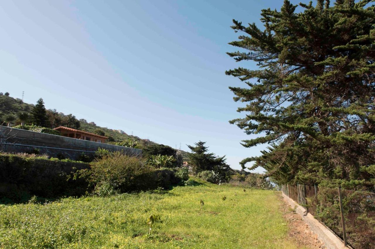 CASAS EN FINCA ECOLÓGICA EL BICLEN, NATURALEZA, CALMA Y VISTAS al MAR, Icod el Alto Exterior foto