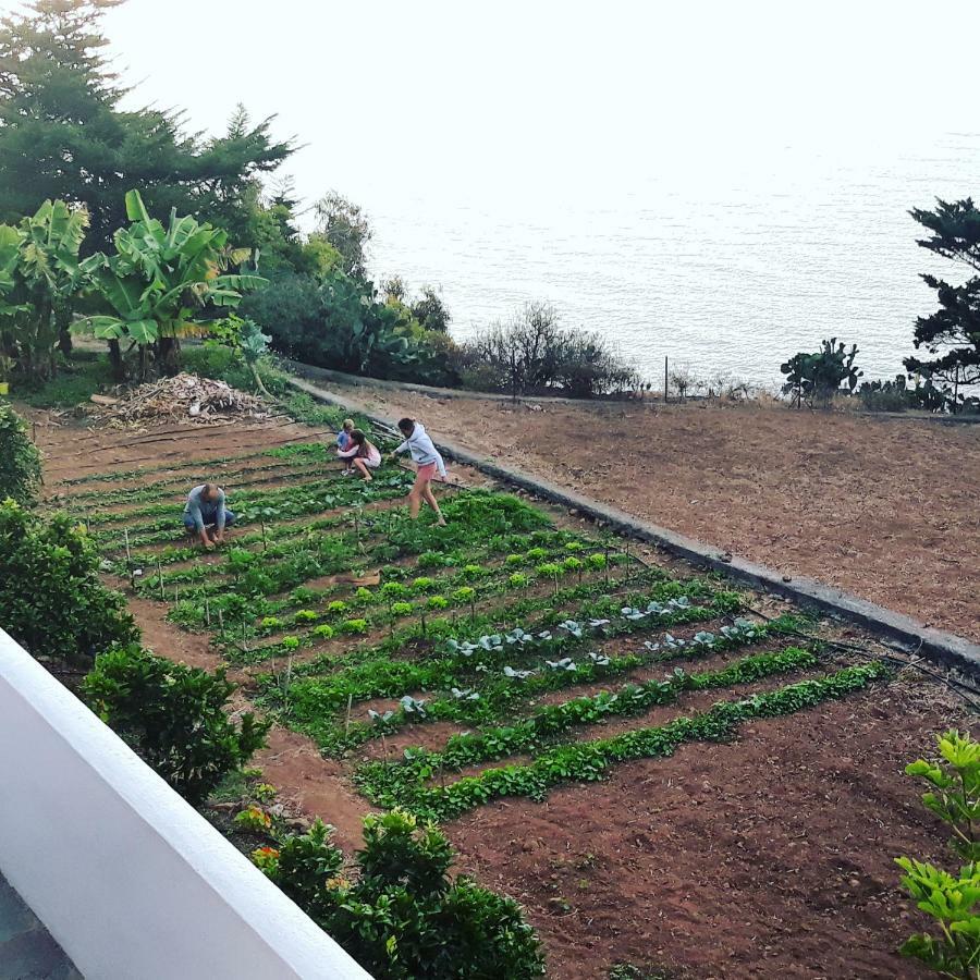 CASAS EN FINCA ECOLÓGICA EL BICLEN, NATURALEZA, CALMA Y VISTAS al MAR, Icod el Alto Exterior foto