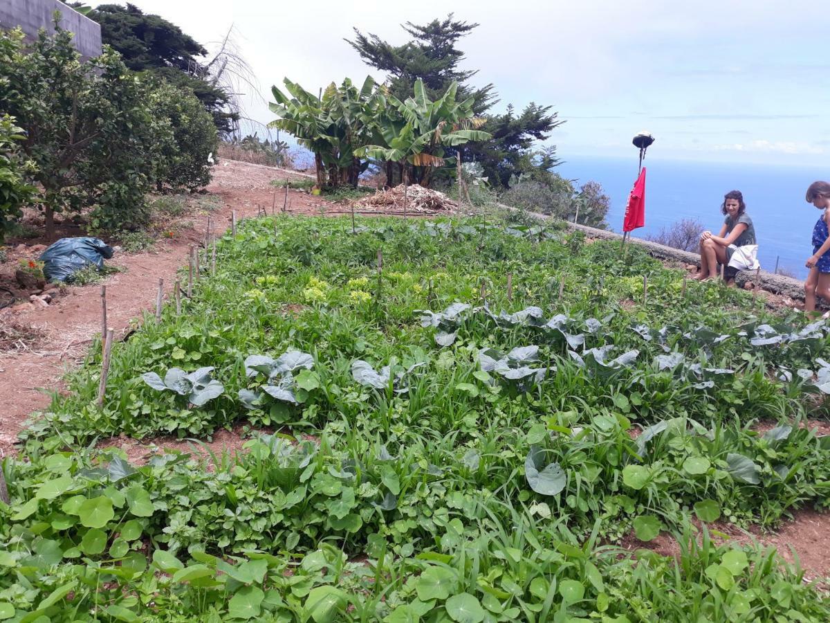 CASAS EN FINCA ECOLÓGICA EL BICLEN, NATURALEZA, CALMA Y VISTAS al MAR, Icod el Alto Exterior foto